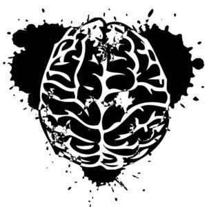 psychology in politics